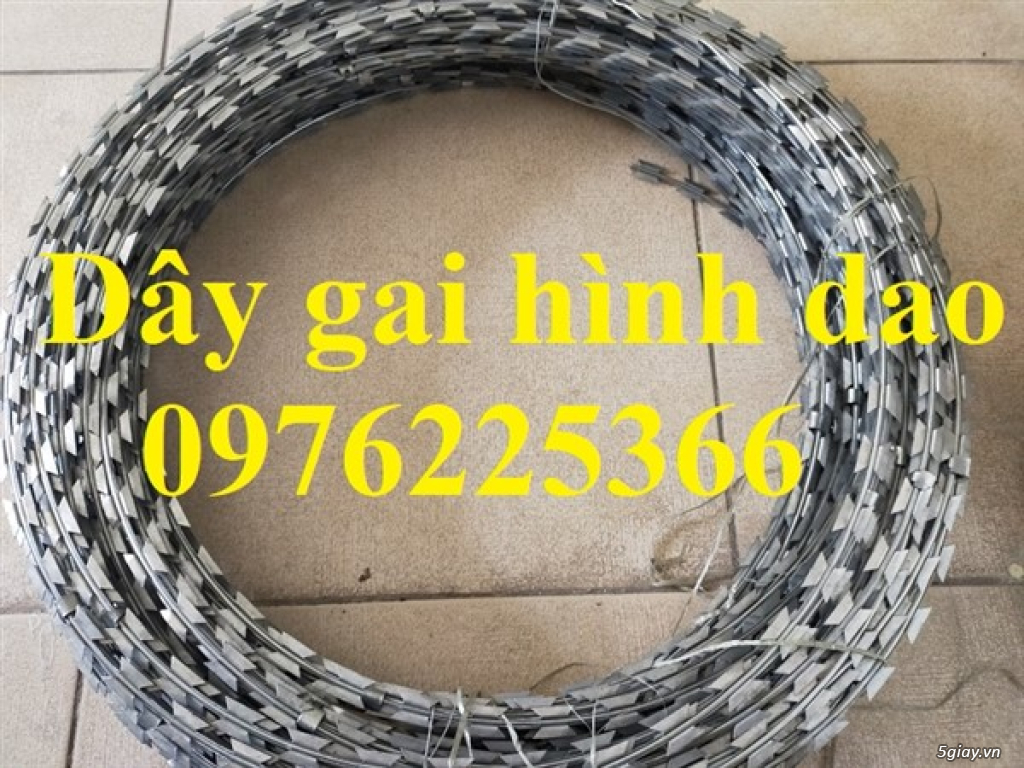 Dây kẽm gai chống trộm đường kính vòng tròn 50cm