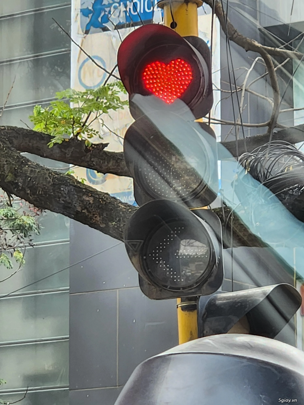 Hình hài hước... Nhiều thể loại vui nhôn - 3