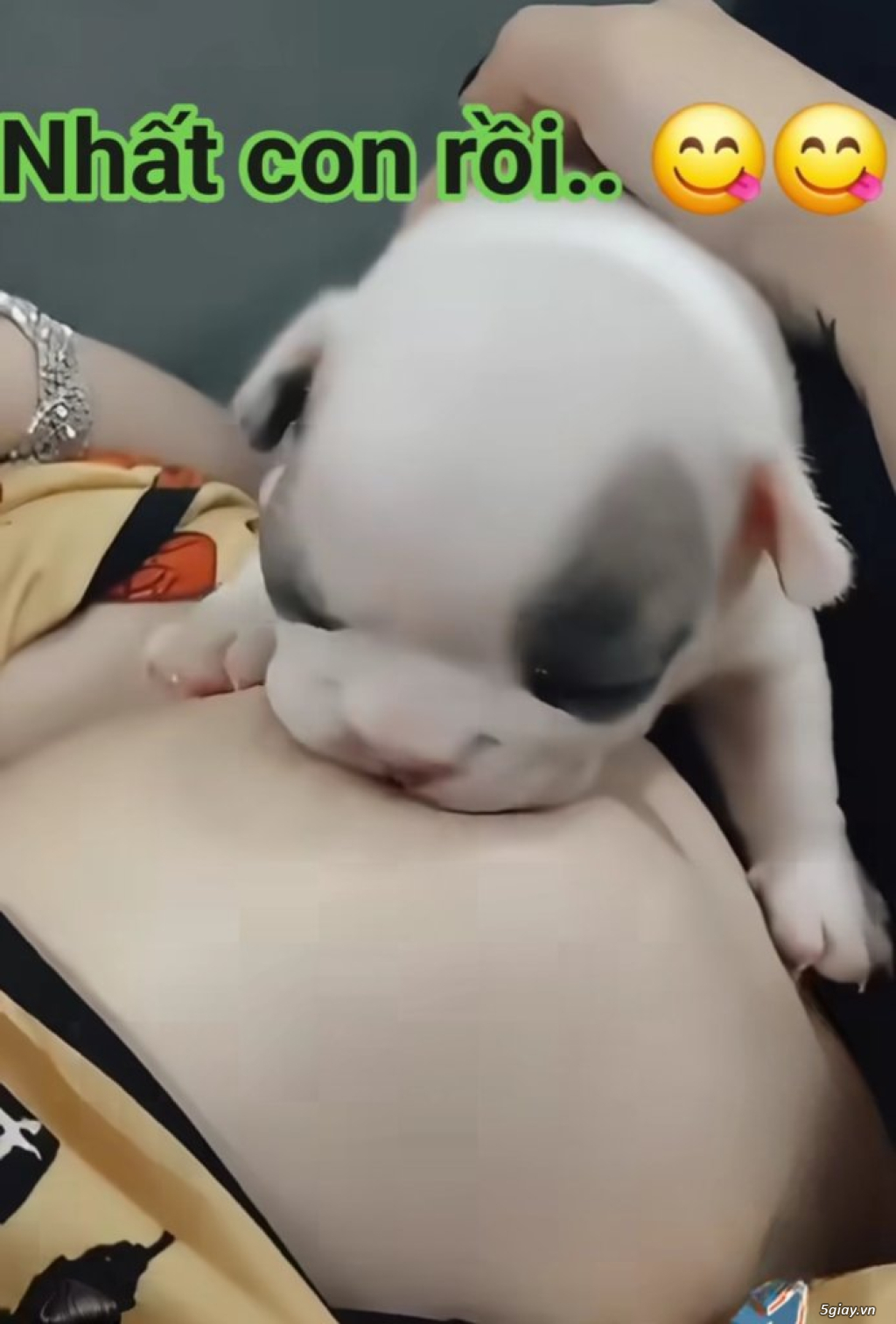 Hình hài hước... Nhiều thể loại vui nhôn - 5