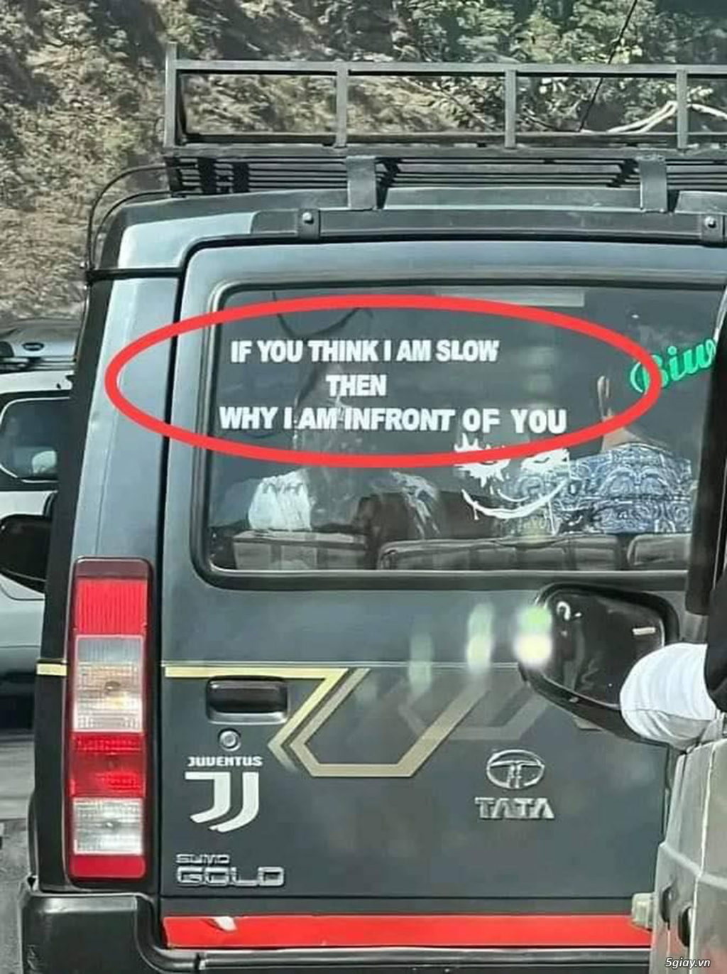 Hình hài hước... Nhiều thể loại vui nhôn - 3