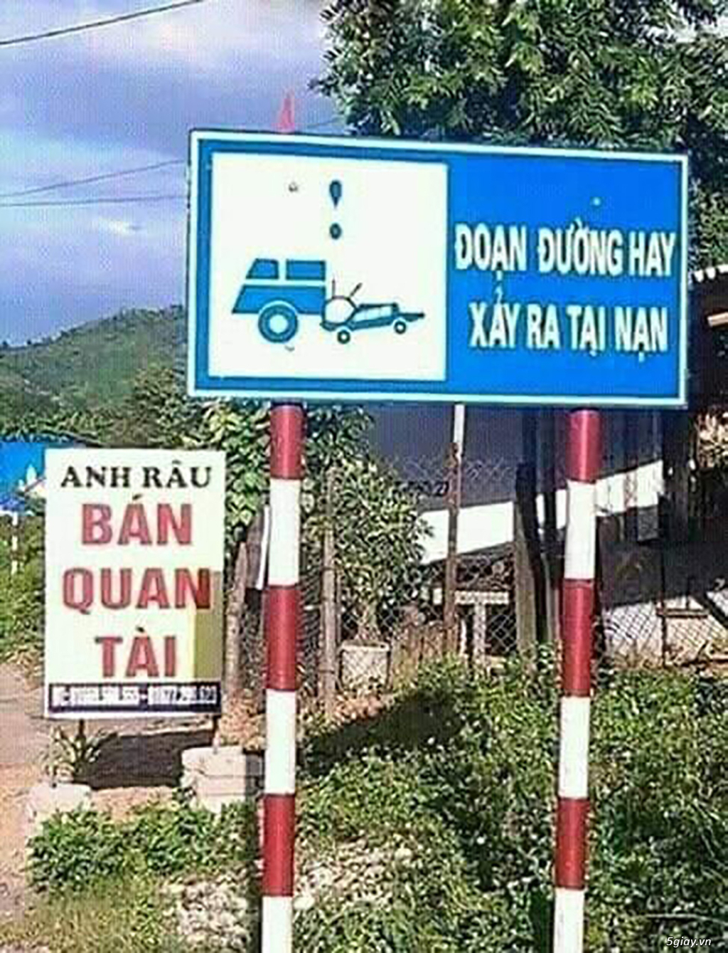 Hình hài hước... Nhiều thể loại vui nhôn - 3