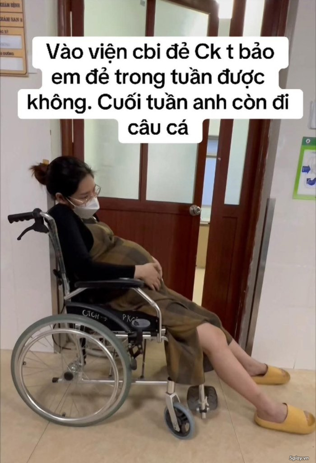 Hình hài hước... Nhiều thể loại vui nhôn