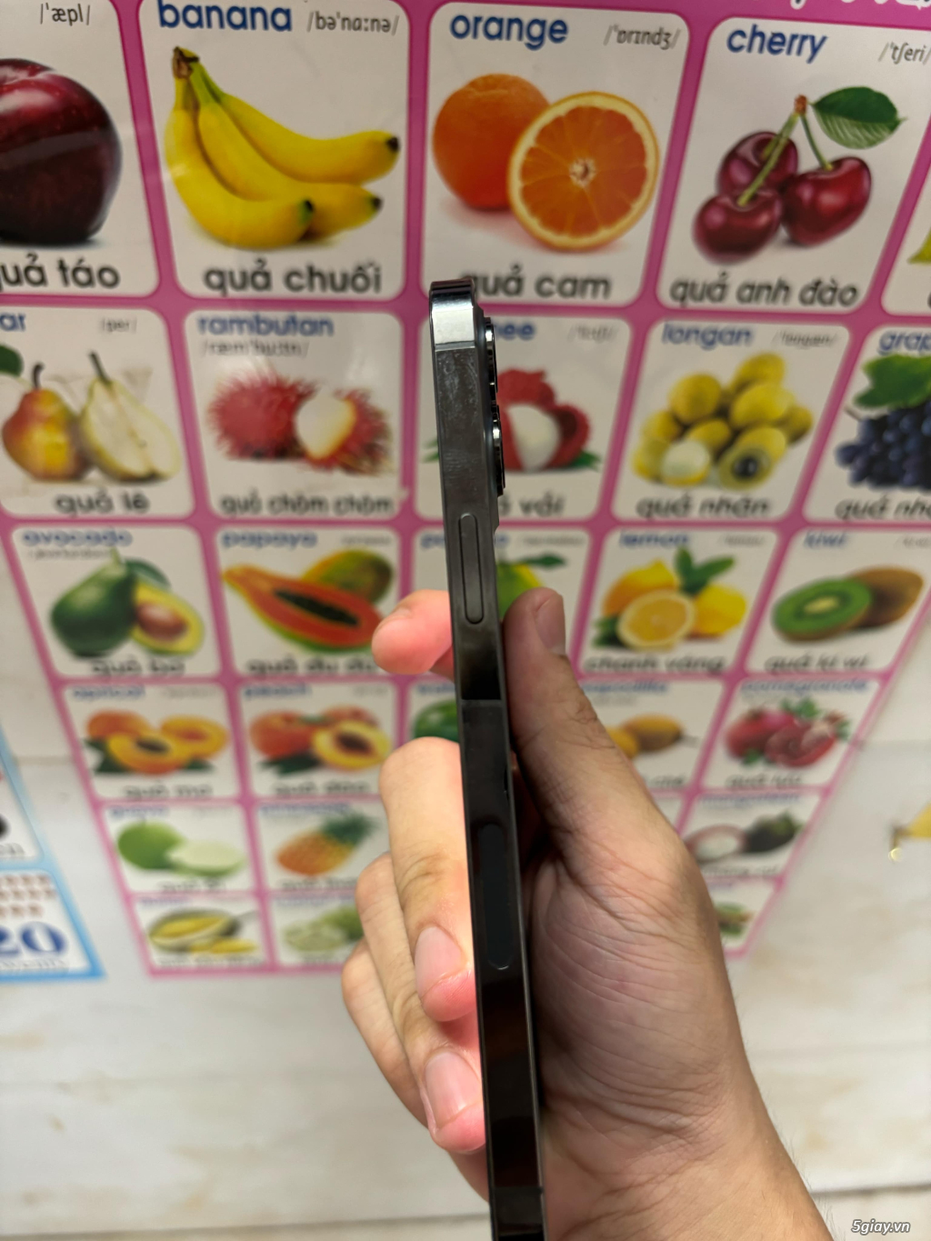 Thanh Lý  2 Cây 12 Pro Max-256Gb Quốc Tế