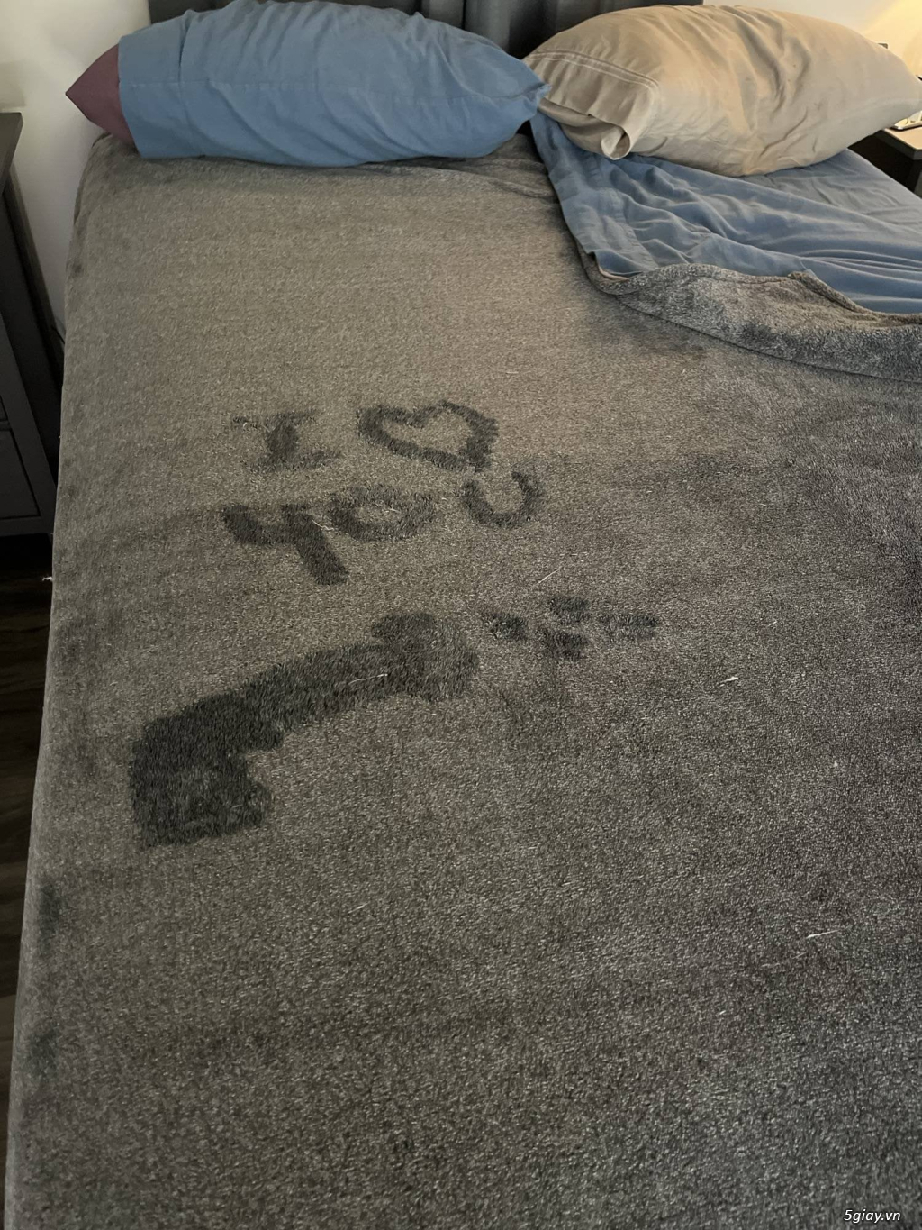 Hình hài hước... Nhiều thể loại vui nhôn - 10