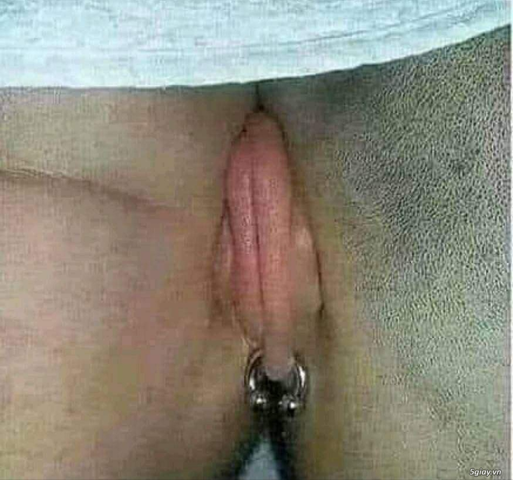 Hình hài hước... Nhiều thể loại vui nhôn - 4