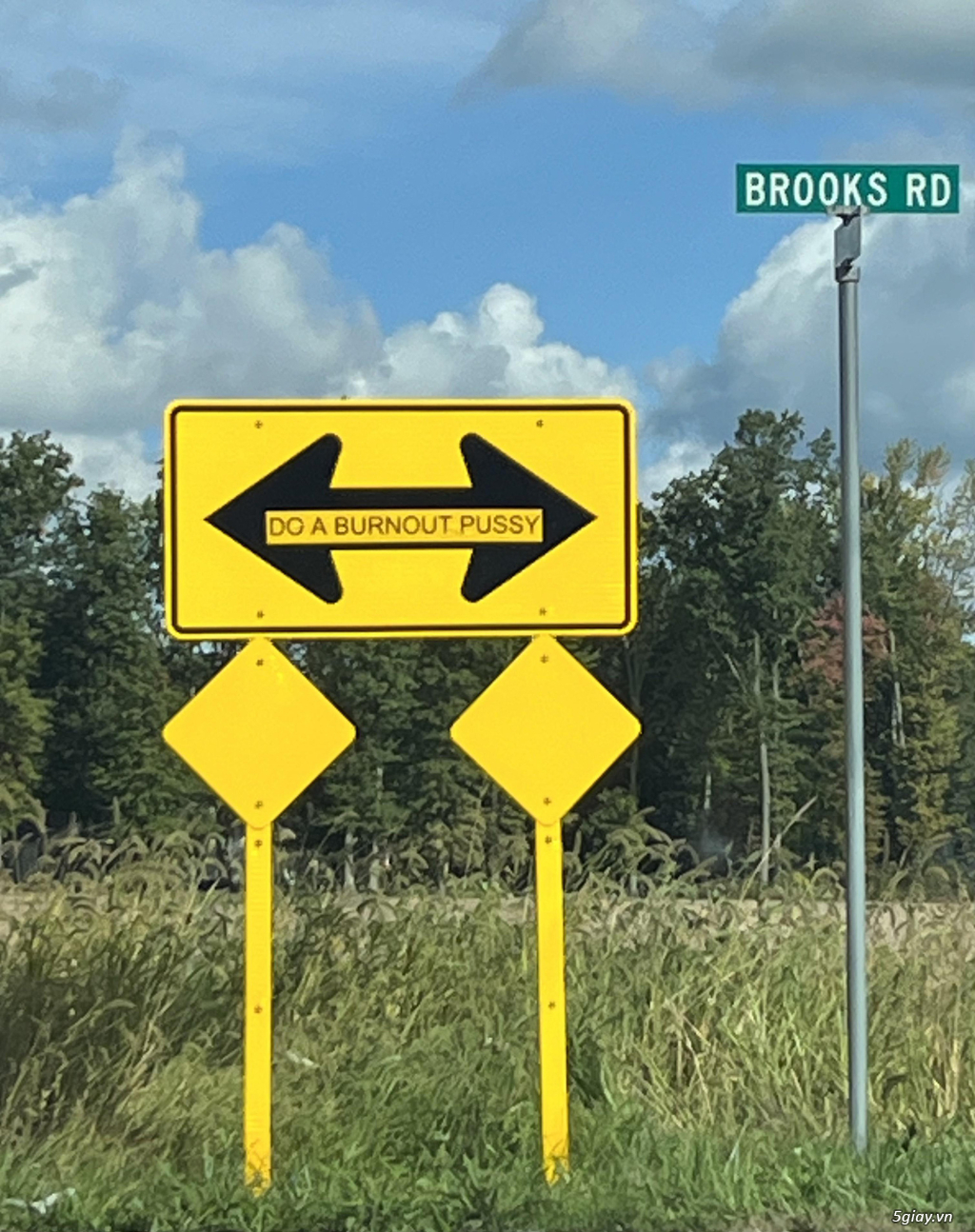 Hình hài hước... Nhiều thể loại vui nhôn - 2