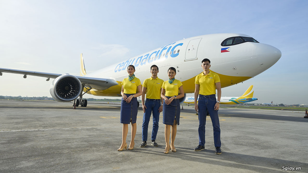 Quy định của Cebu Pacific về chó hỗ trợ