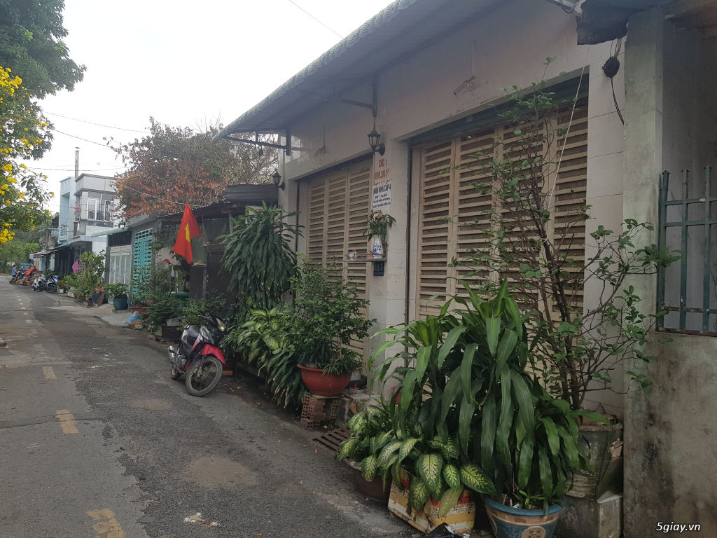 Nhà chính chủ bán cấp 4 trên Đ, Phan văn hớn - H M, DT 125M giá 5 T3 - 1