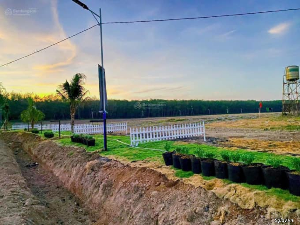 Bán 1000m2 đất Bình Phước khu du lịch view hồ sinh thái bờ hồ Sông Bé - 4