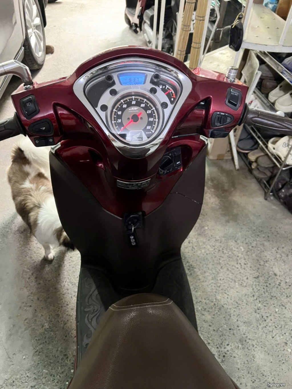 @Để lại Honda SH Mode đỏ đô nguyên zin - 2