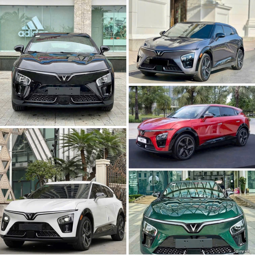 VINFAST HẢI PHÒNG - 19