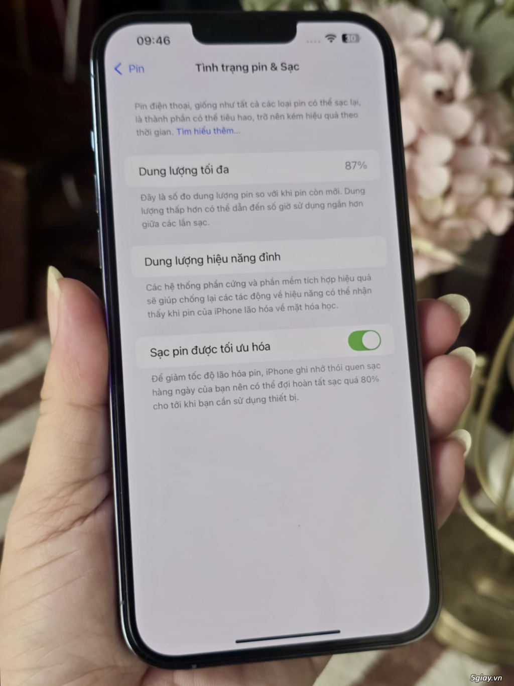 13 Pro max 512g 99%. Pin 87%.. Zin nguyên bản ! - 4