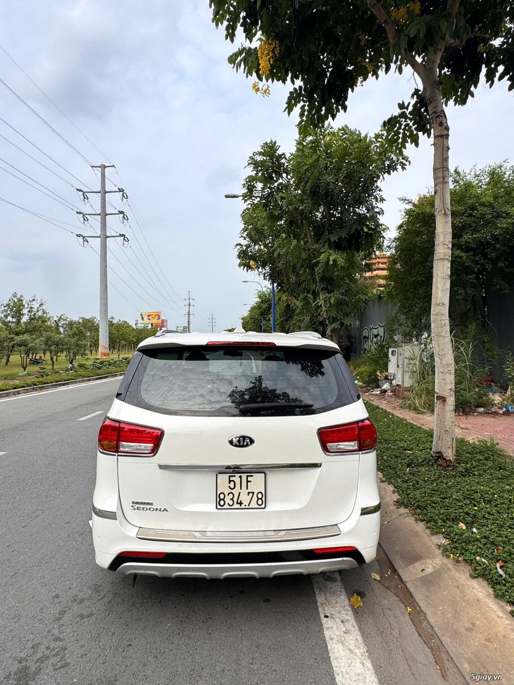 Ảnh số 7