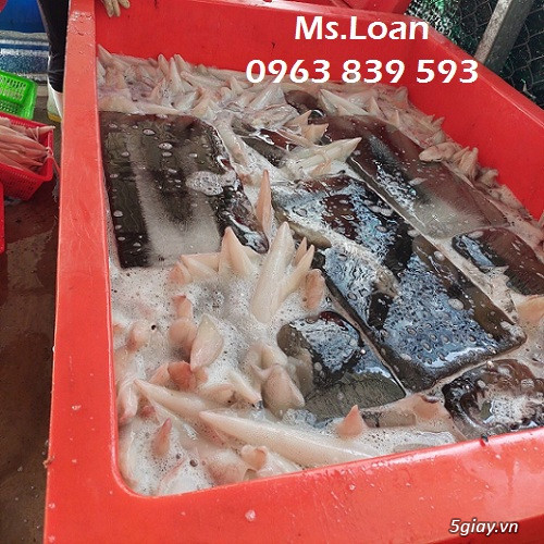 Thùng đá hoa sen 800lit nhập khẩu thái lan / 0963 839 593 Loan