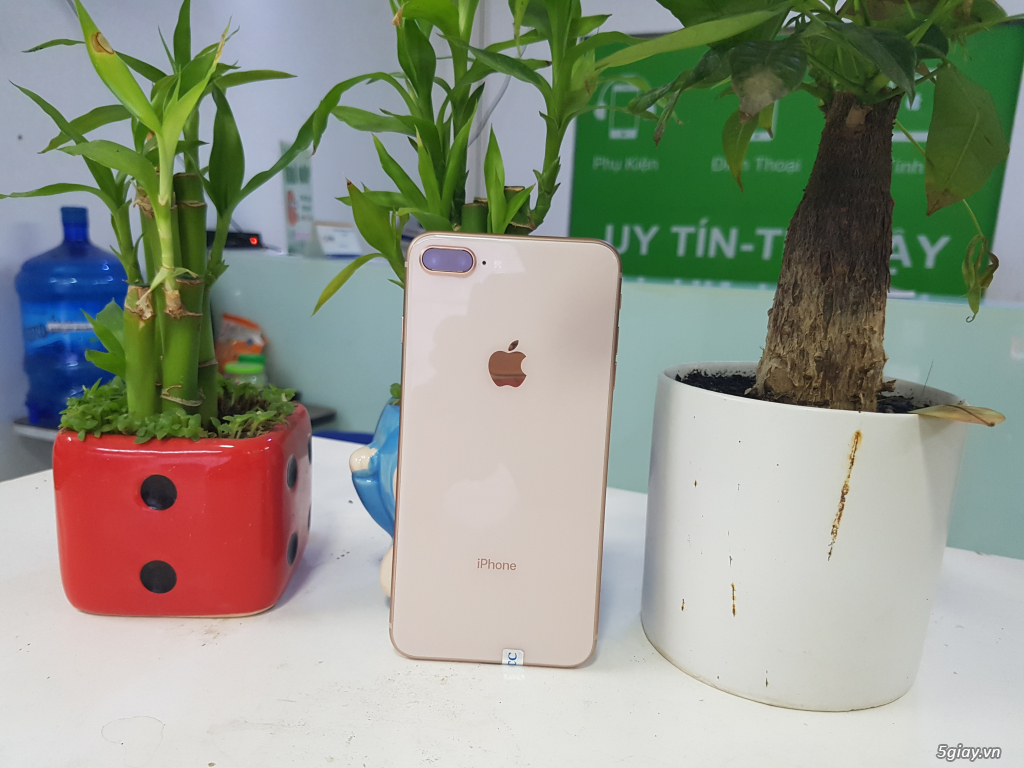 iPhone 7, iPhone 7 Plus, iPhone 8, iPhone 8 Plus | Máy đẹp - Giá tốt - 1