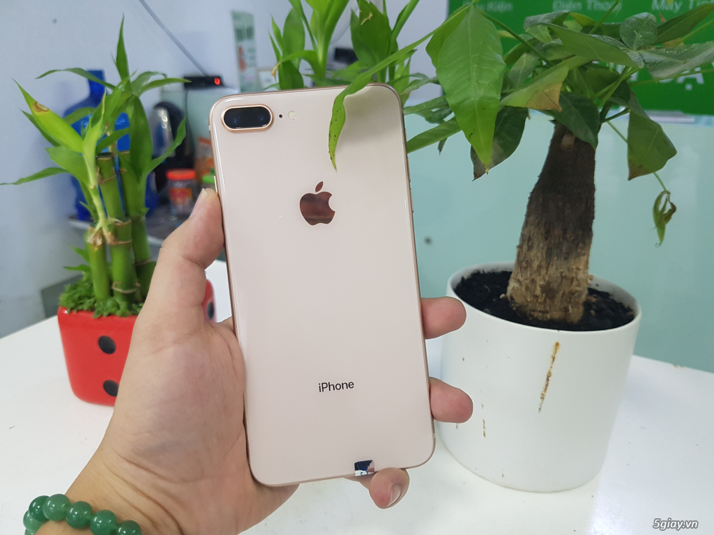 iPhone 7, iPhone 7 Plus, iPhone 8, iPhone 8 Plus | Máy đẹp - Giá tốt