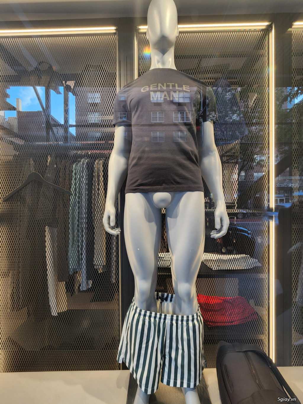 Hình hài hước... Nhiều thể loại vui nhôn - 3