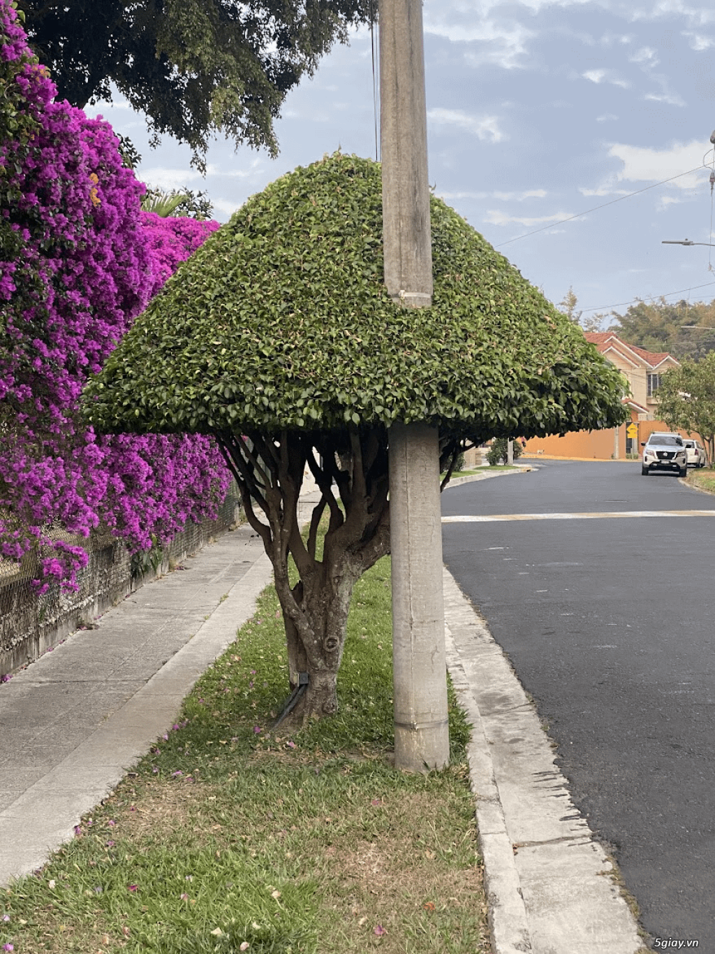 Hình hài hước... Nhiều thể loại vui nhôn - 3