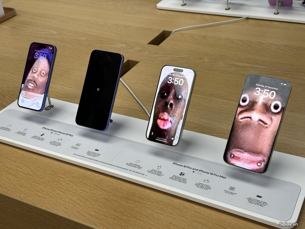 Hình hài hước... Nhiều thể loại vui nhôn - 1