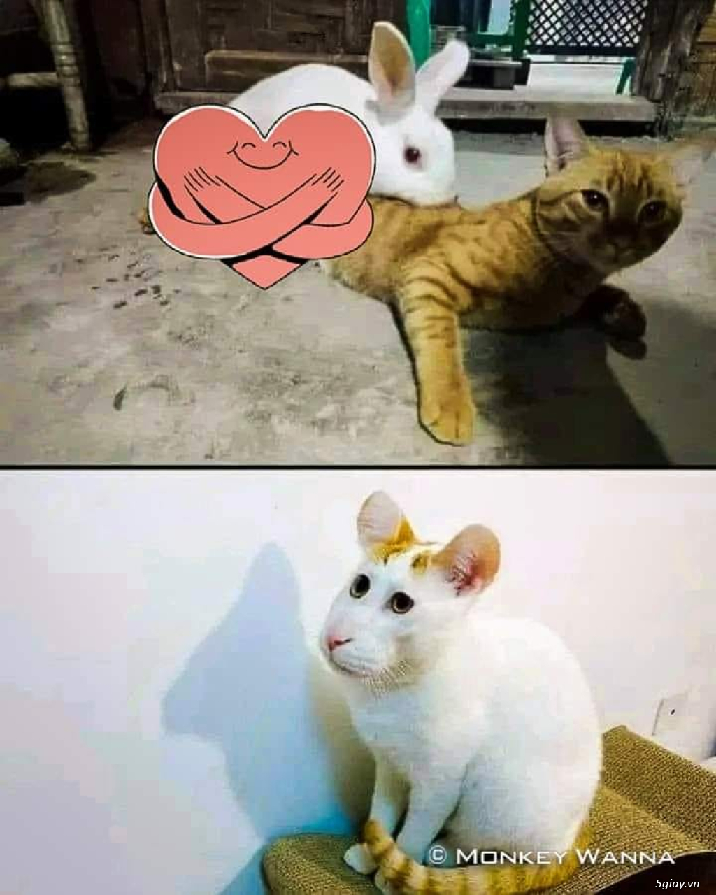 Hình hài hước... Nhiều thể loại vui nhôn - 9