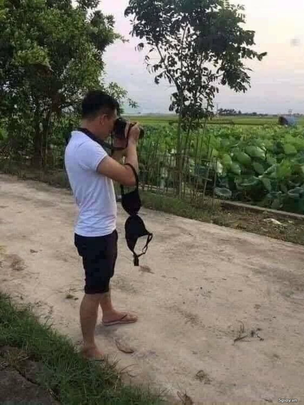 Hình hài hước... Nhiều thể loại vui nhôn - 2