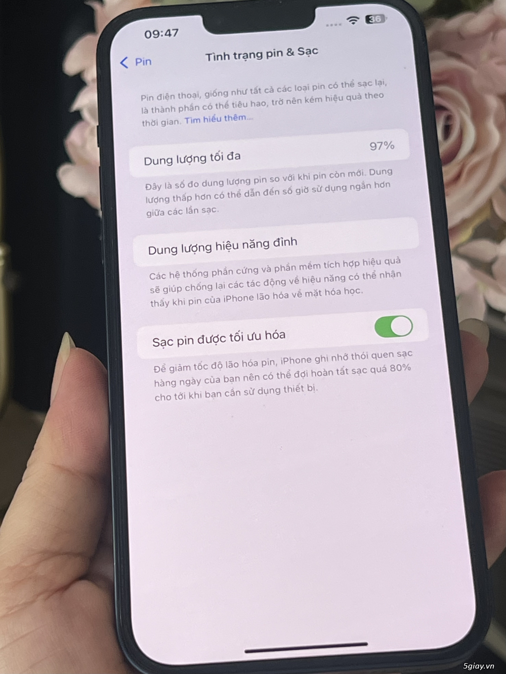 14 Plus 128G VN 99%. Pin 97%. BH 7-2025 ! - 4