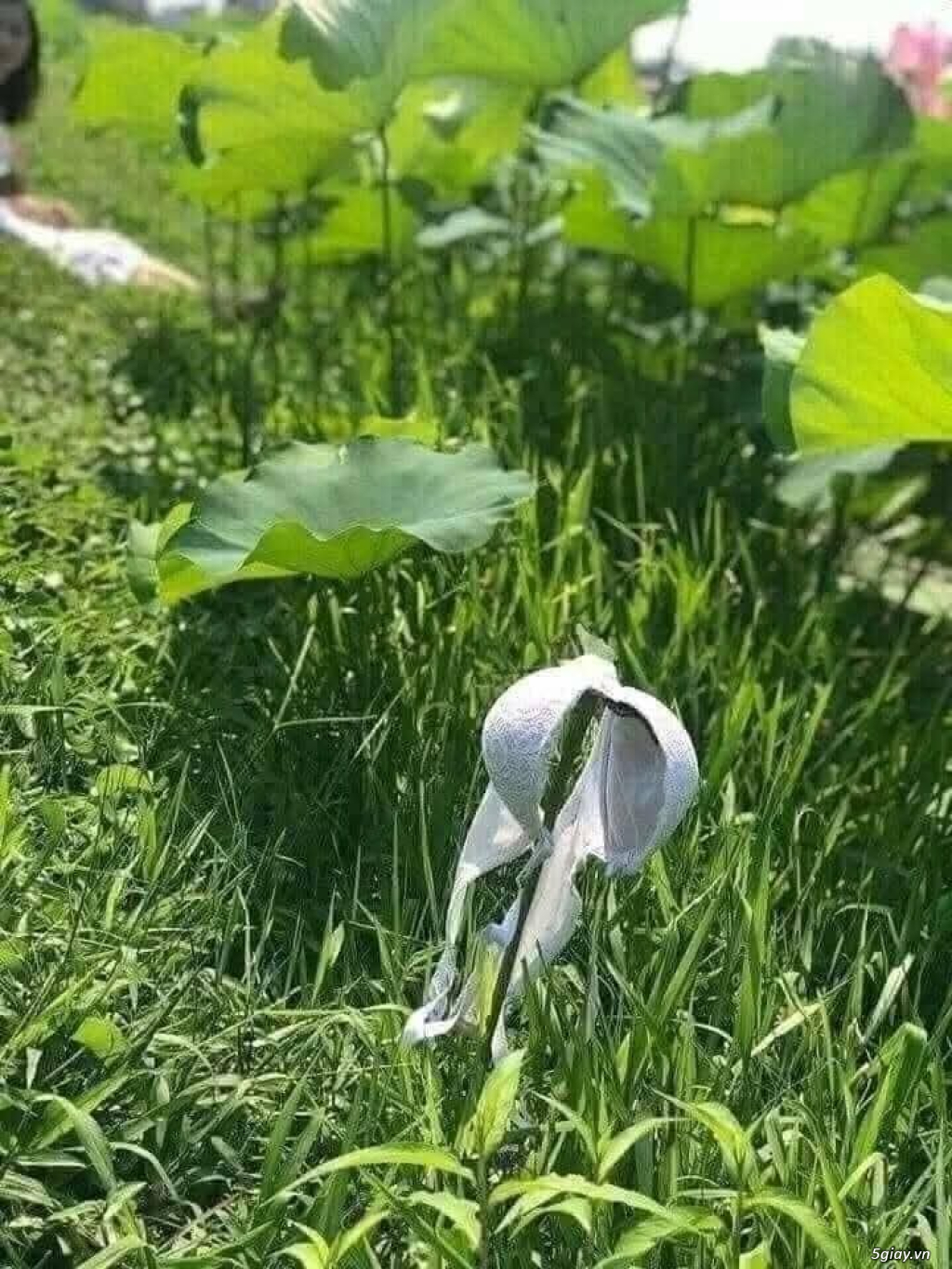 Hình hài hước... Nhiều thể loại vui nhôn - 4