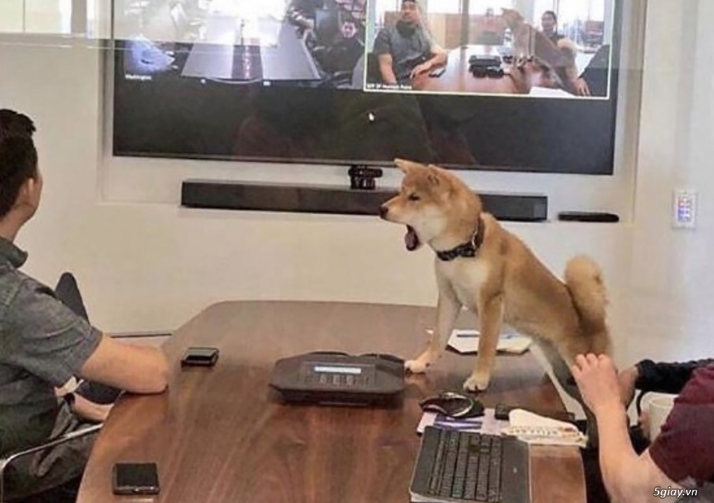 Hình hài hước... Nhiều thể loại vui nhôn - 2