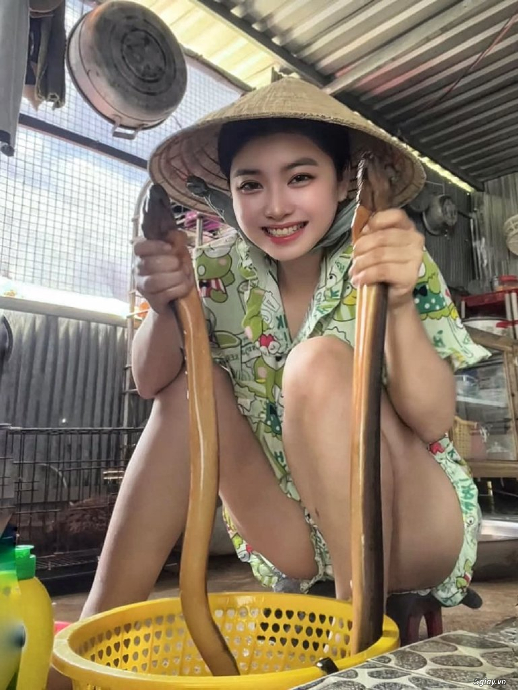 Hình hài hước... Nhiều thể loại vui nhôn - 3