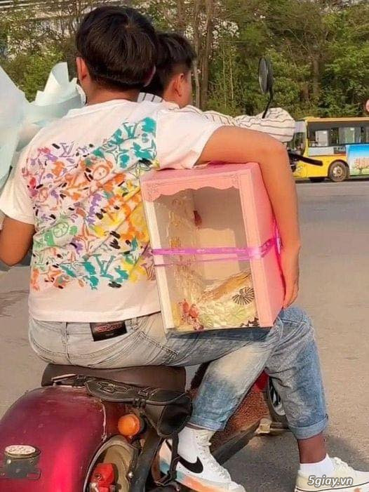 Hình hài hước... Nhiều thể loại vui nhôn - 1