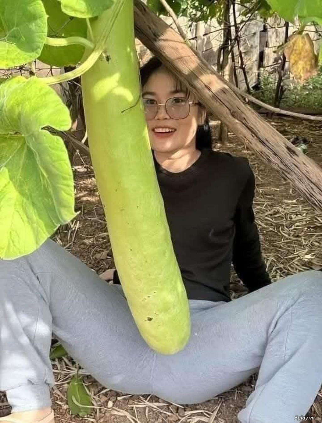 Hình hài hước... Nhiều thể loại vui nhôn