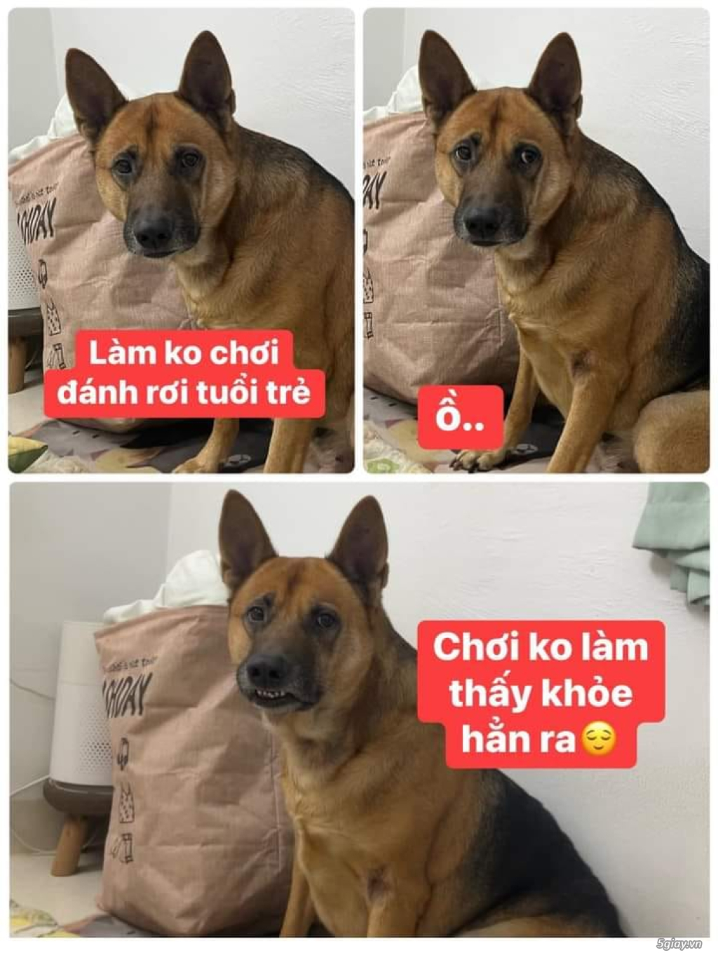 Hình hài hước... Nhiều thể loại vui nhôn - 3