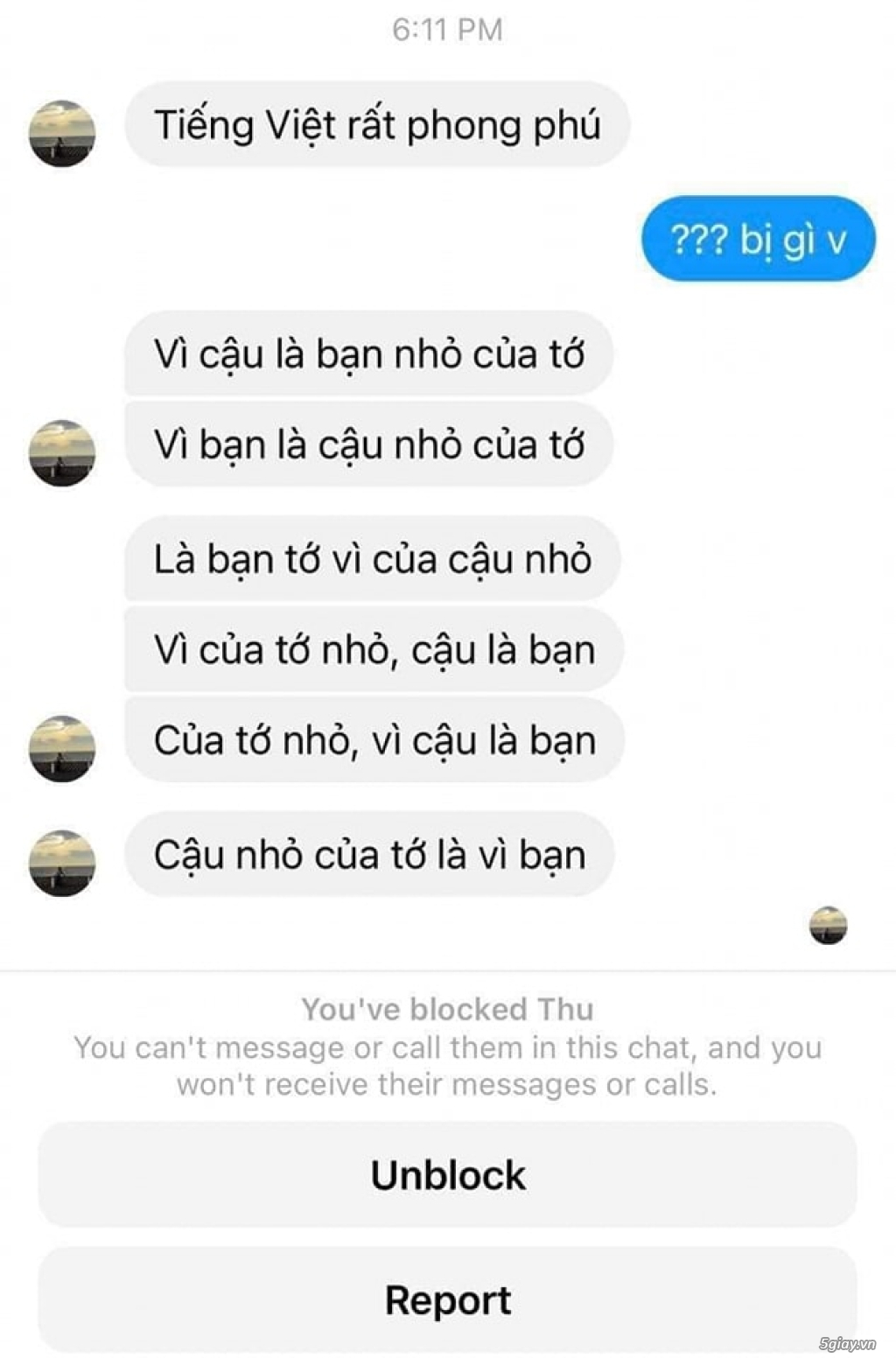 Hình hài hước... Nhiều thể loại vui nhôn