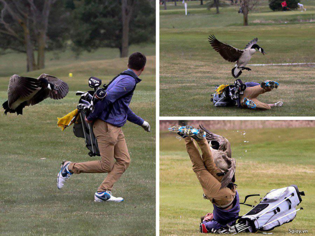 Hình hài hước... Nhiều thể loại vui nhôn - 2