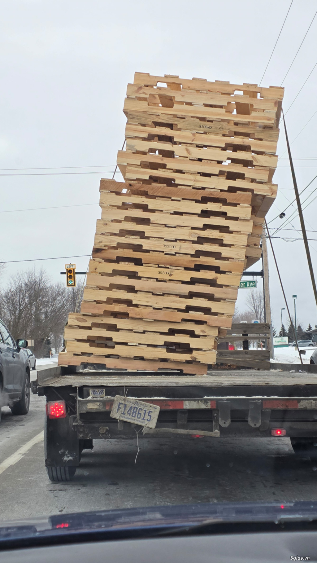 Hình hài hước... Nhiều thể loại vui nhôn - 2