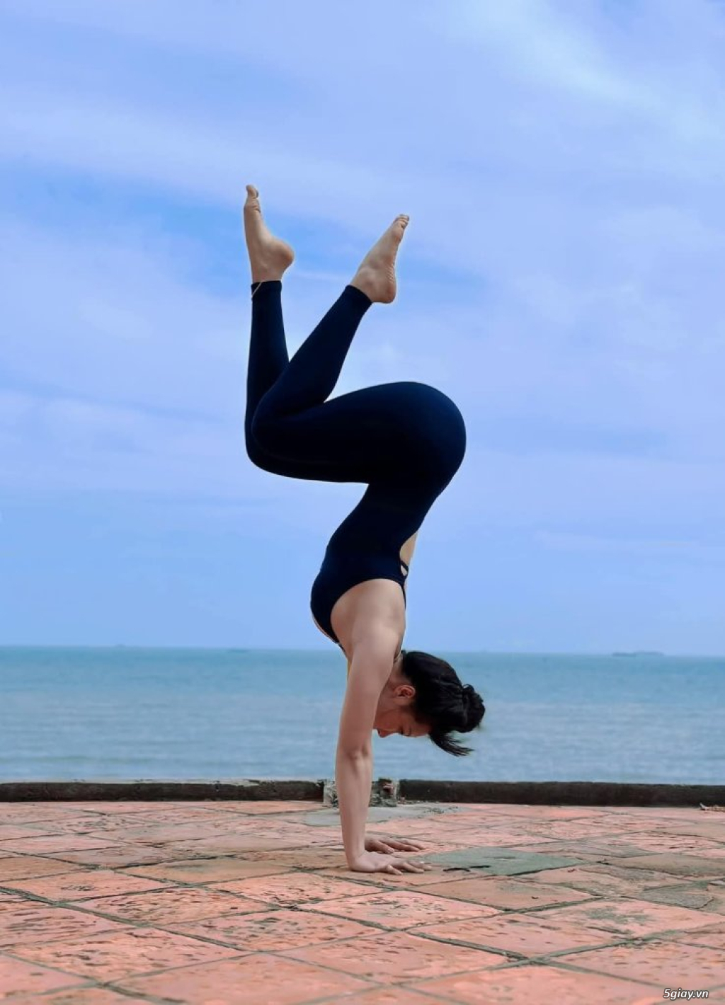 Hình hài hước... Nhiều thể loại vui nhôn