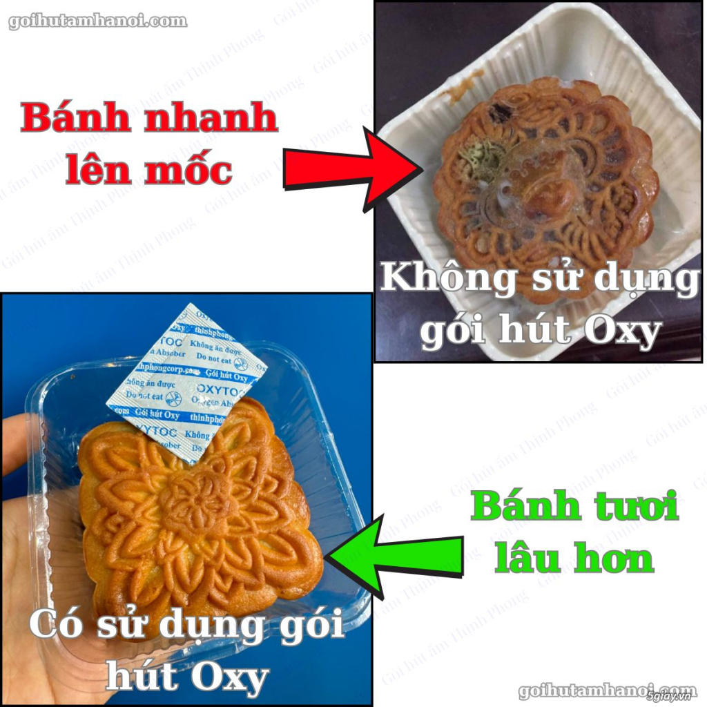 Gói hút Oxy bảo quản Bánh trung thu