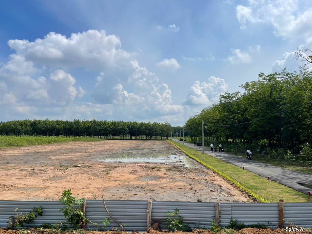 BÁN 10M NGANG ĐẤT THỔ CƯ – NGAY TRUNG TÂM HÀNH CHÍNH CHÁNH PHÚ HÒA BD - 4