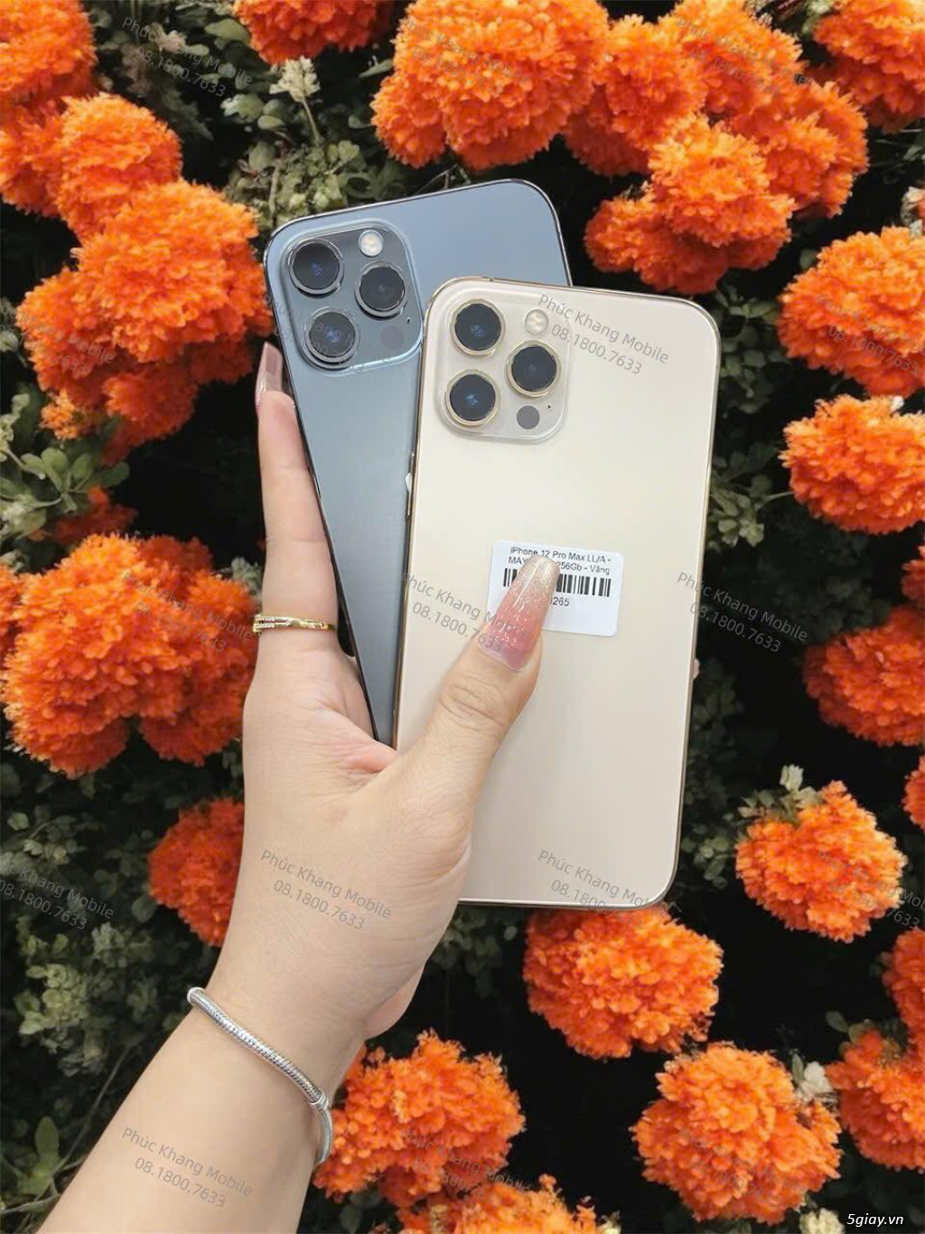 ✨ SIÊU PHẨM IPHONE 12 PRO MAX - GIÁ TỐT NHẤT THỊ TRƯỜNG - CÒN MỚI 98 - 3