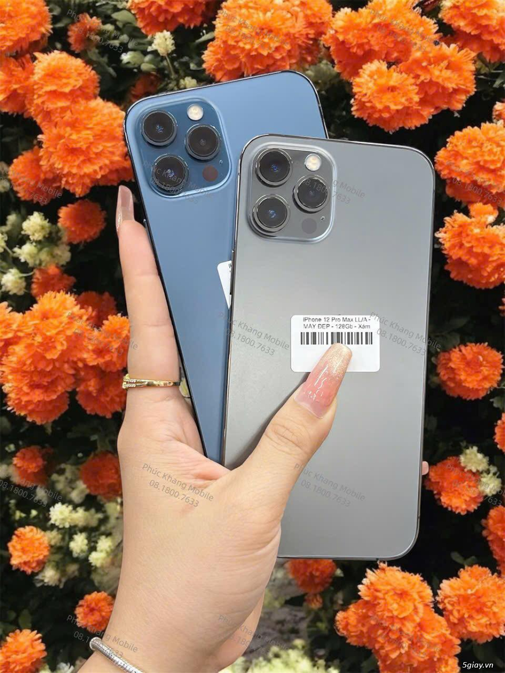 ✨ SIÊU PHẨM IPHONE 12 PRO MAX - GIÁ TỐT NHẤT THỊ TRƯỜNG - CÒN MỚI 98 - 5