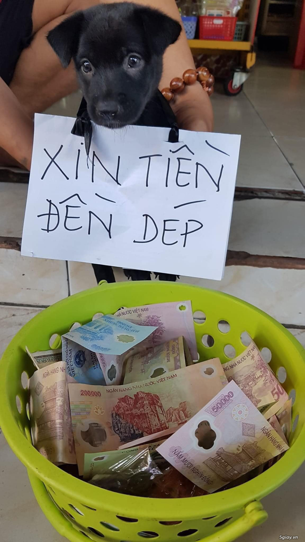 Hình hài hước... Nhiều thể loại vui nhôn - 3