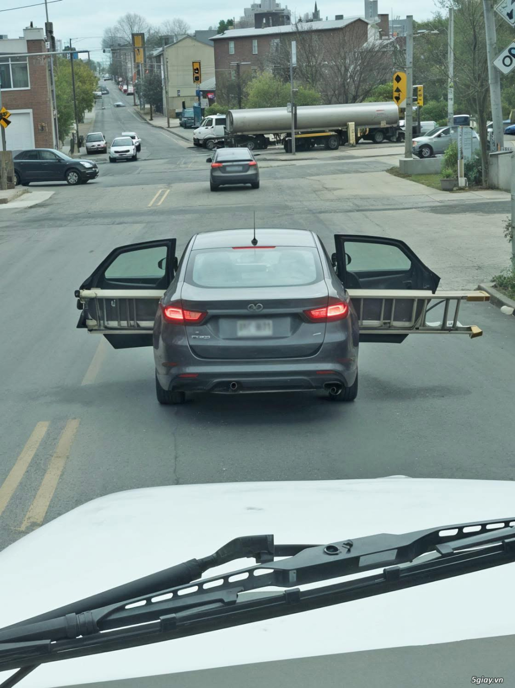 Hình hài hước... Nhiều thể loại vui nhôn