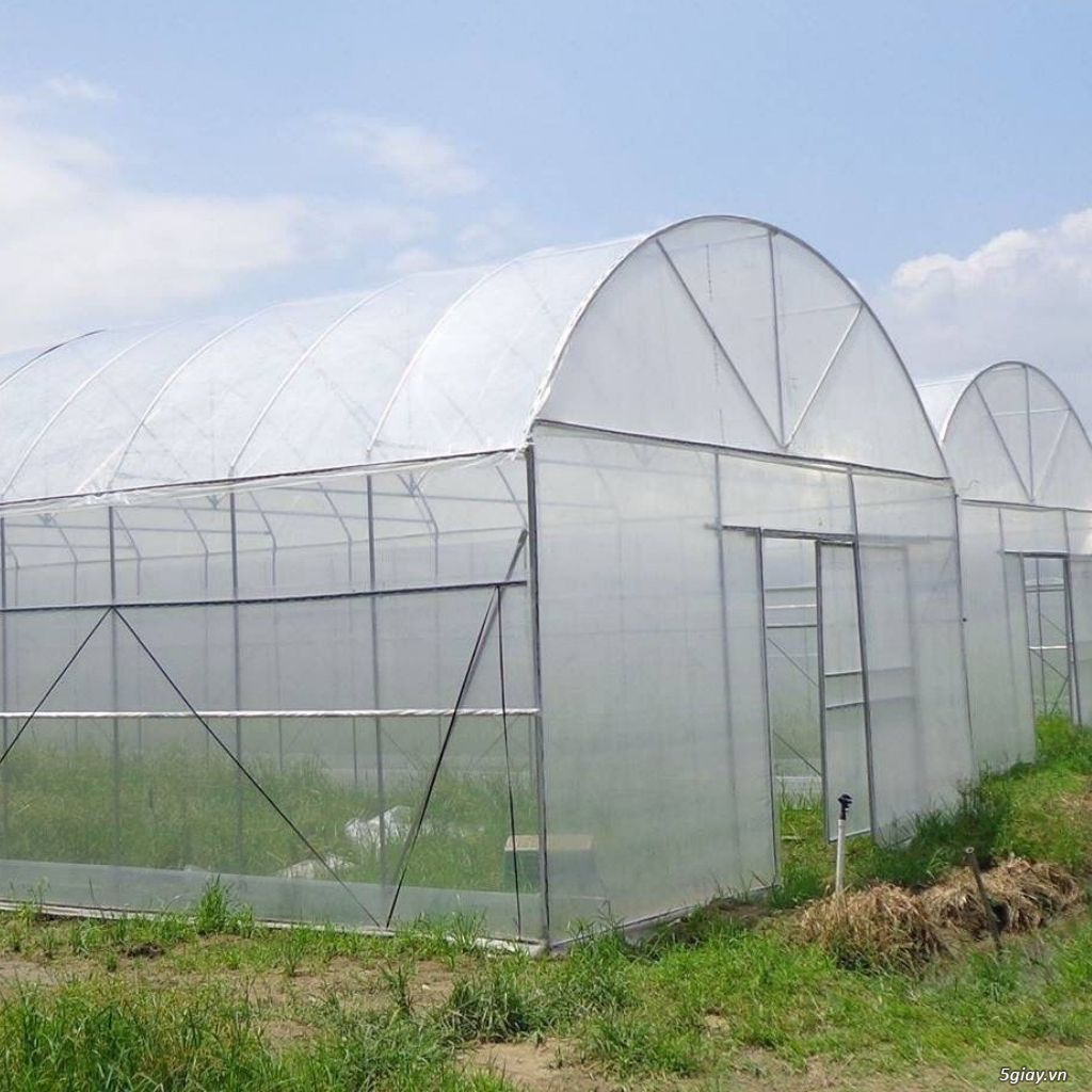 Màng nhà kính - giải pháp cây trồng hiệu quả - 4