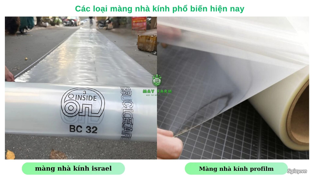 Màng nhà kính - giải pháp cây trồng hiệu quả - 8
