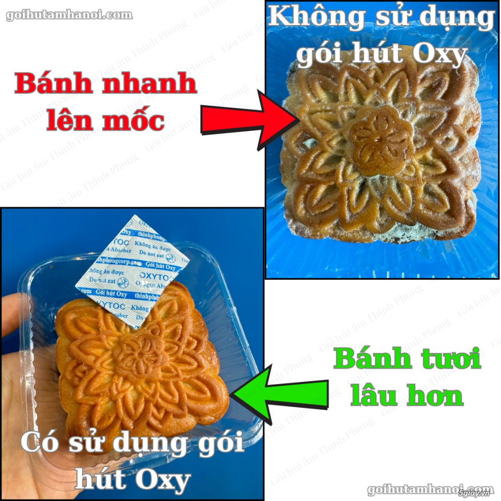Giải pháp bảo quản bánh trung thu hạn chế ẩm mốc - 1