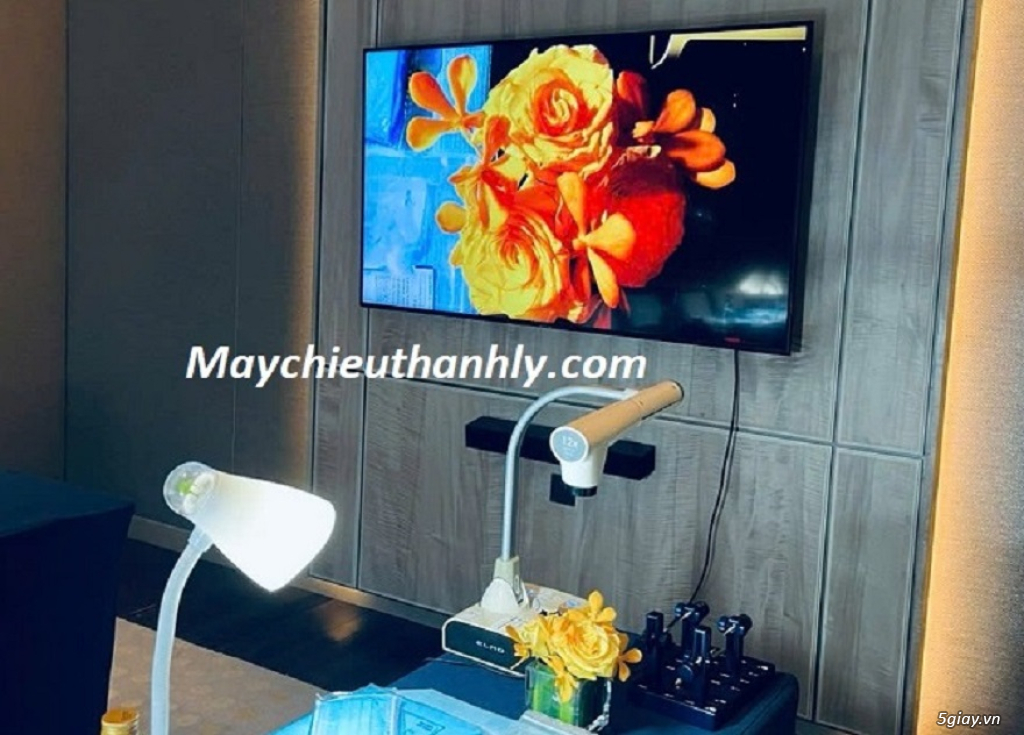 Cho thuê máy chiếu vật thể