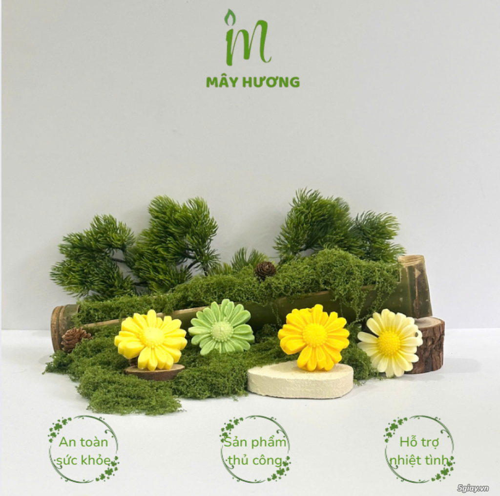 viết bài viết đi backlink về chủ đề Hoa cúc vàng của nến thơm nhà m