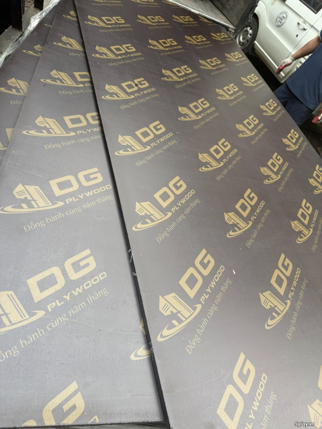 Ván Ép phủ phim giá rẻ 200k- Hải Dương