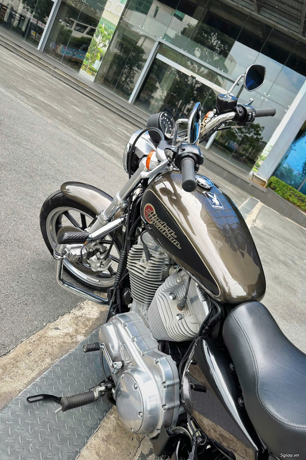 ___[ Cần Bán ]___HARLEY 883 SuperLow 2020___ - 24