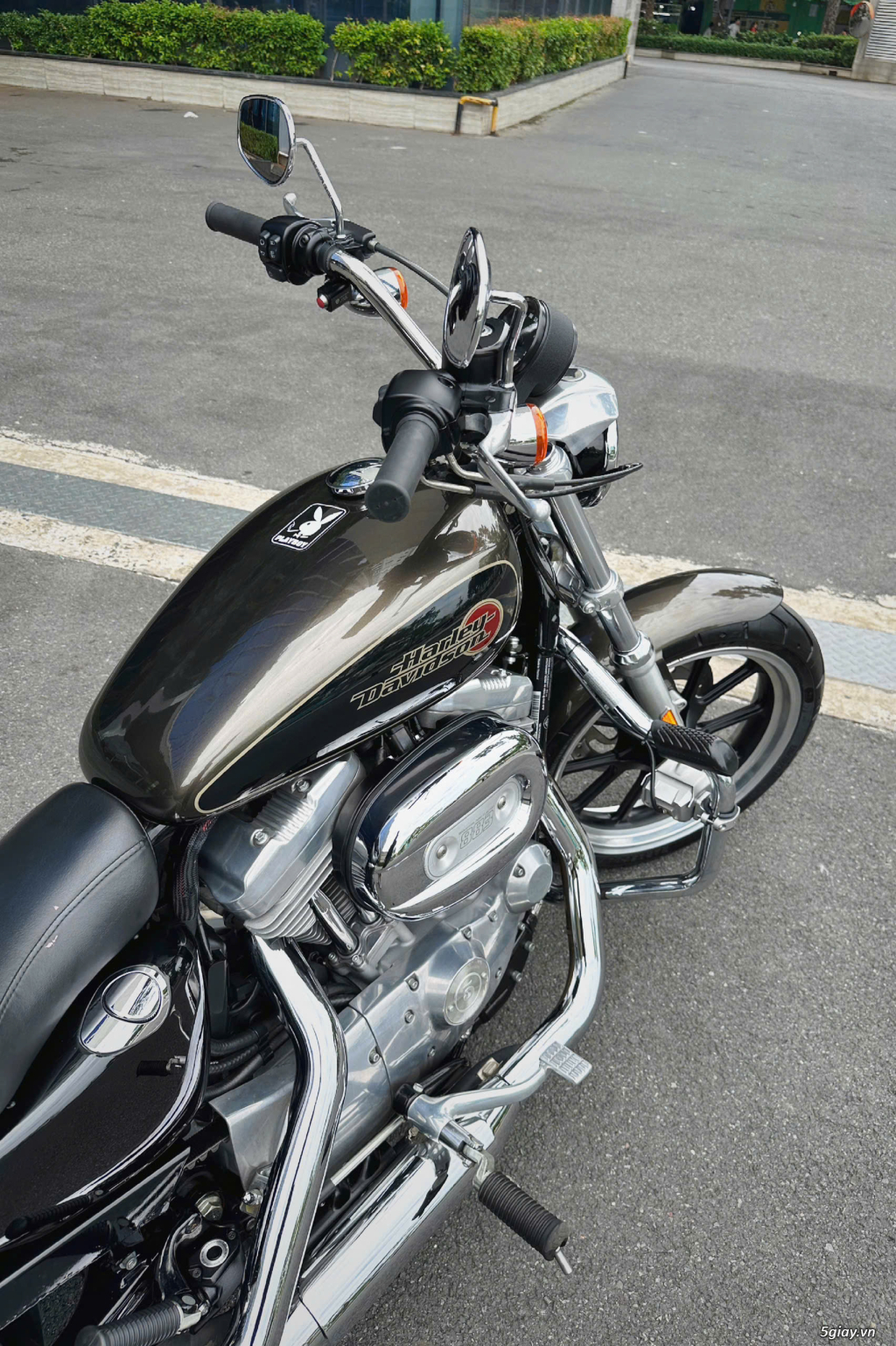 ___[ Cần Bán ]___HARLEY 883 SuperLow 2020___ - 25
